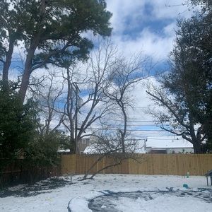 Meet your Posher, Rene